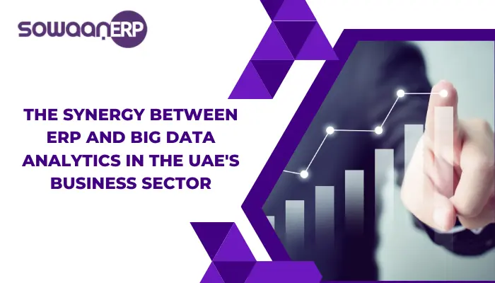  The Synergy Between ERP and Big Data Analytics in the UAE’s Business Sector